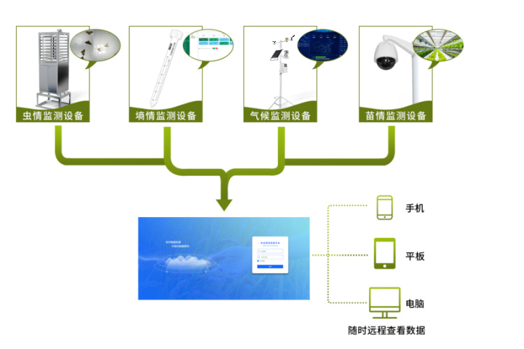 農(nóng)業(yè)四情監(jiān)測系統(tǒng)拓撲圖